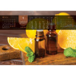 "JUST RELAX" 13 list., dim: 33,5x31 cm, PVC vrećica, P/50, color kalendar - Slika 7
