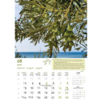 "MASLINE" 13 list., dim: 30,5x50 cm, PVC vrećica, P/50, color kalendar - Slika 7