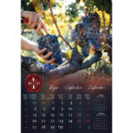 "VINO" 13 list., dim: 33x55 cm, PVC vrećica, P/40, color kalendar - Slika 8