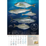 "S RIBARNICE" 13 list., dim: 33x55 cm, PVC vrećica, P/40, color kalendar - Image 9
