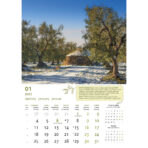 "MASLINE" 13 list., dim: 30,5x50 cm, PVC vrećica, P/50, color kalendar - Slika 9