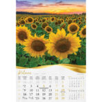 "MOJA ZLATNA SLAVONIJA i BARANJA"  13 list., dim: 33x55 cm, PVC vrećica, P/40, color kalendar - Slika 9