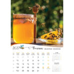 "PČELE" 13 list., dim: 30,5x50 cm, PVC vrećica, P/50, color kalendar - Slika 9