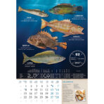 "S RIBARNICE" 13 list., dim: 33x55 cm, PVC vrećica, P/40, color kalendar - Image 10