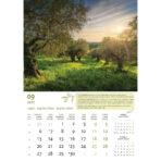 "MASLINE" 13 list., dim: 30,5x50 cm, PVC vrećica, P/50, color kalendar - Slika 10