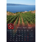 "VINO" 13 list., dim: 33x55 cm, PVC vrećica, P/40, color kalendar - Slika 10