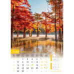 "SVIJET U BOJI" 13 list., dim: 30,5x50 cm, PVC vrećica, P/50, color kalendar - Image 14
