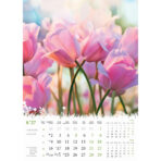 "CVIJEĆE" 13 list., dim: 24x53,5 cm, PVC vrećica, P/50, color kalendar - Slika 3