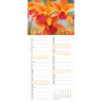 "CVJETNI PLANER" 13 list., dim: 22x55cm,  PVC vrećica, P/50, color kalendar - Image 6