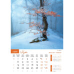 "PRIRODA" 13 list., dim: 30,5x50 cm, PVC vrećica, P/50, color kalendar - Slika 7