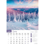 "PRIRODA" 13 list., dim: 30,5x50 cm, PVC vrećica, P/50, color kalendar - Slika 8