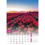 "SVIJET U BOJI" 13 list., dim: 30,5x50 cm, PVC vrećica, P/50, color kalendar - Image 8